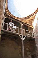 Saint-Fargeau, Chateau, Toiture (089)